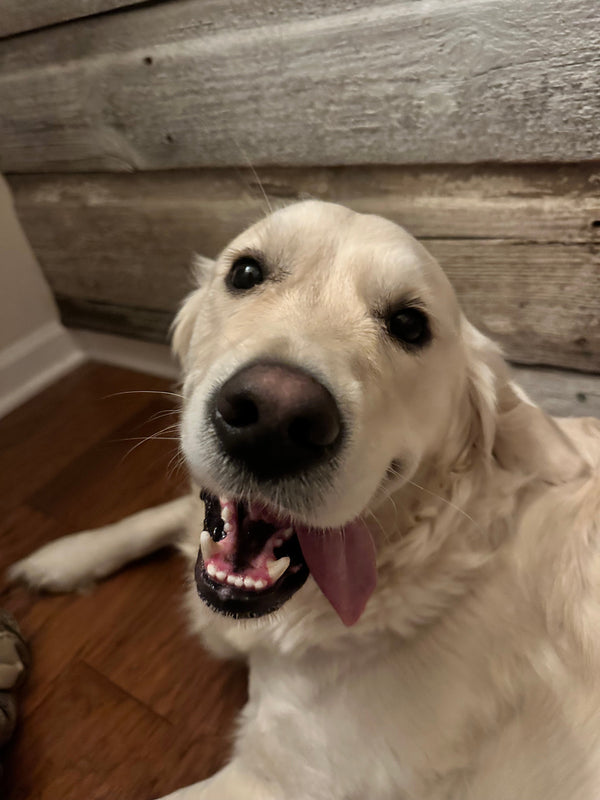 Sadie Jo