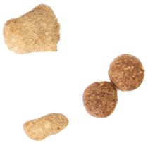 Floating Kibbles