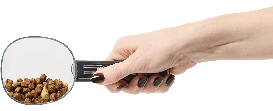 Hand