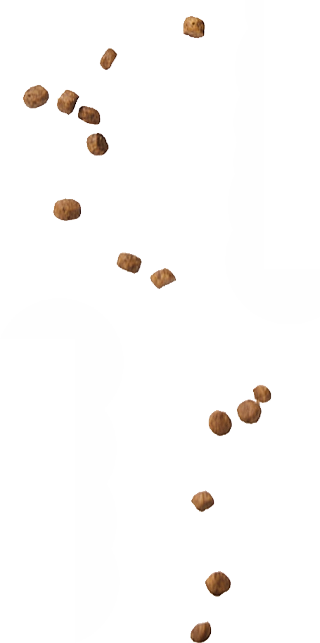 Falling kibble